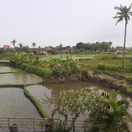 Griya Bun Sari Apartment Sukawati  Bagian luar foto