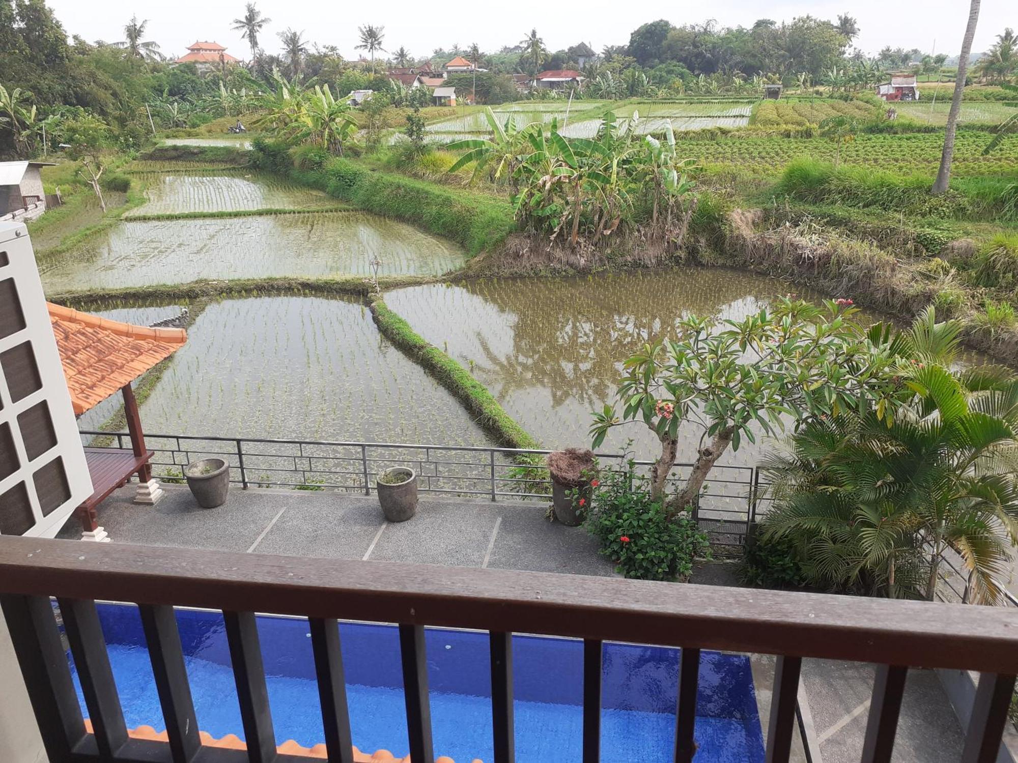 Griya Bun Sari Apartment Sukawati  Bagian luar foto