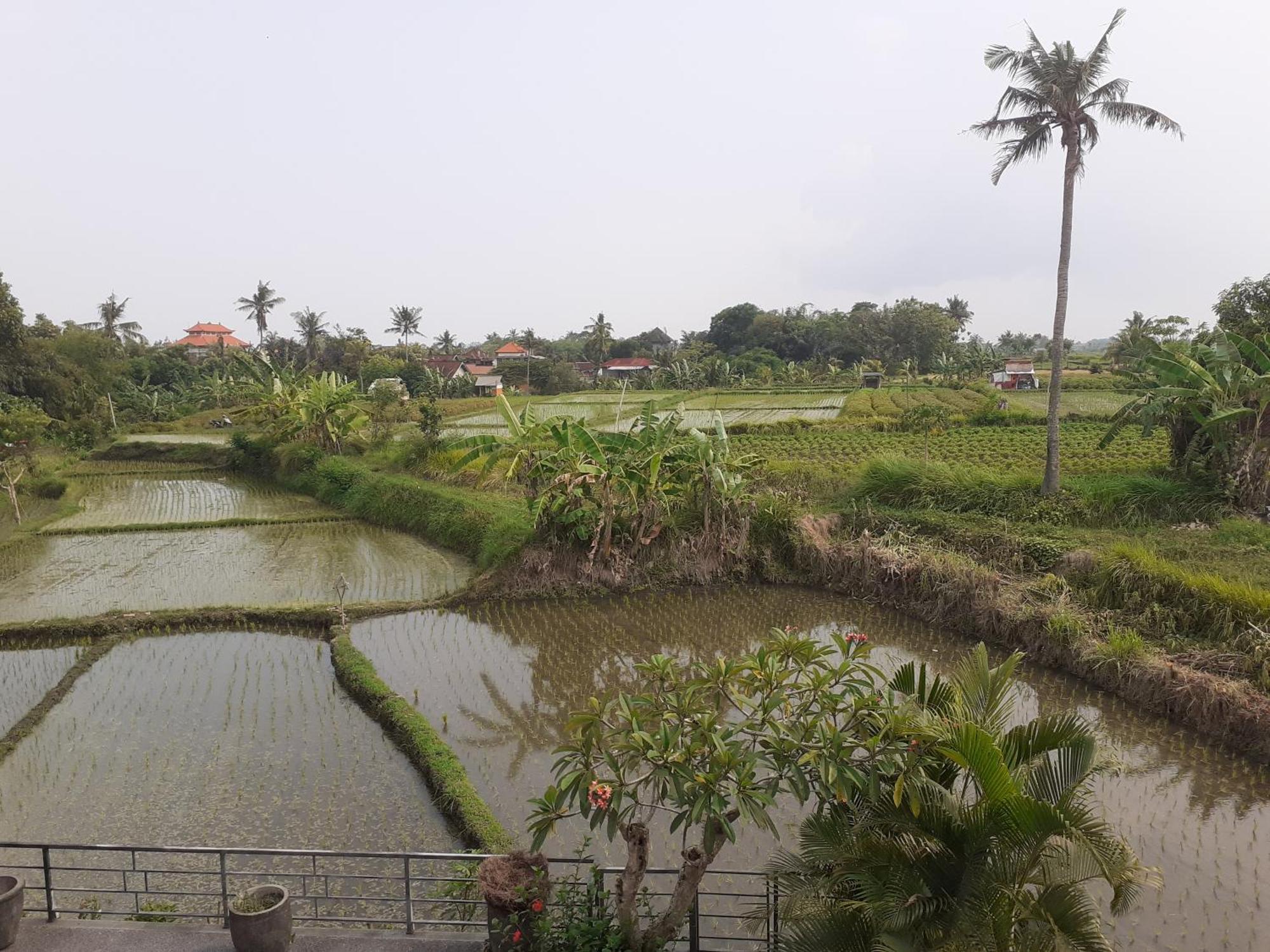 Griya Bun Sari Apartment Sukawati  Bagian luar foto