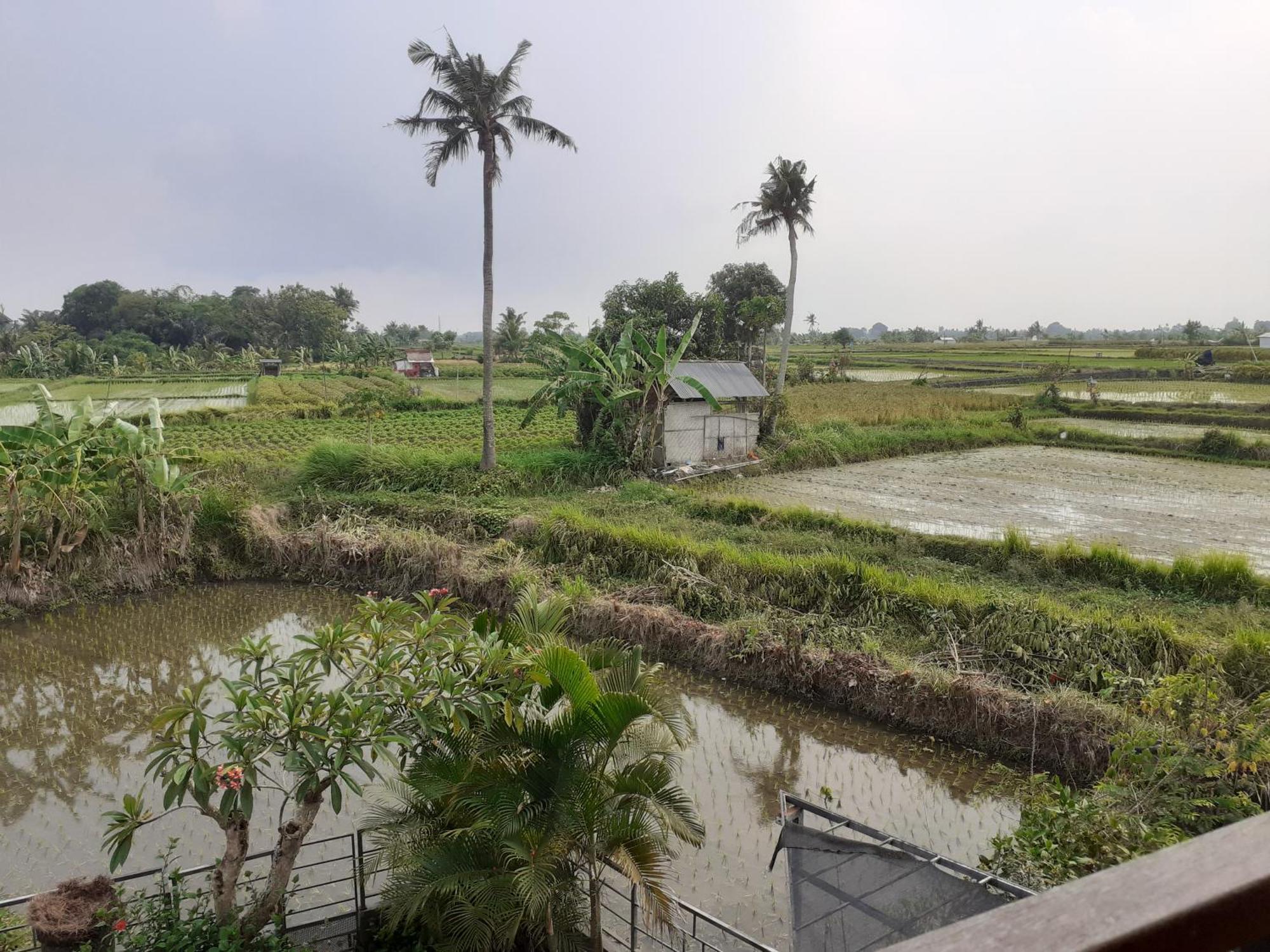 Griya Bun Sari Apartment Sukawati  Bagian luar foto