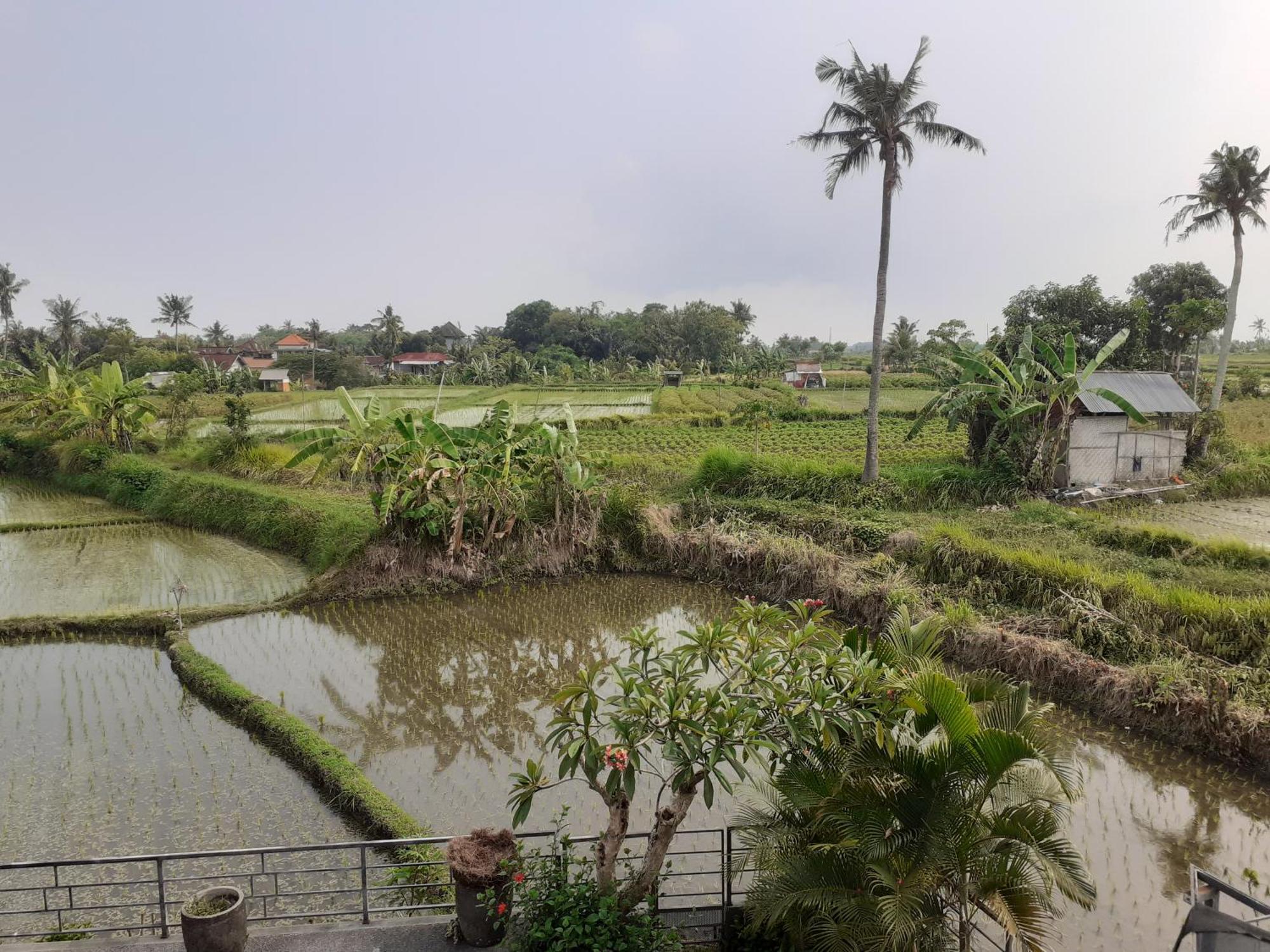 Griya Bun Sari Apartment Sukawati  Bagian luar foto