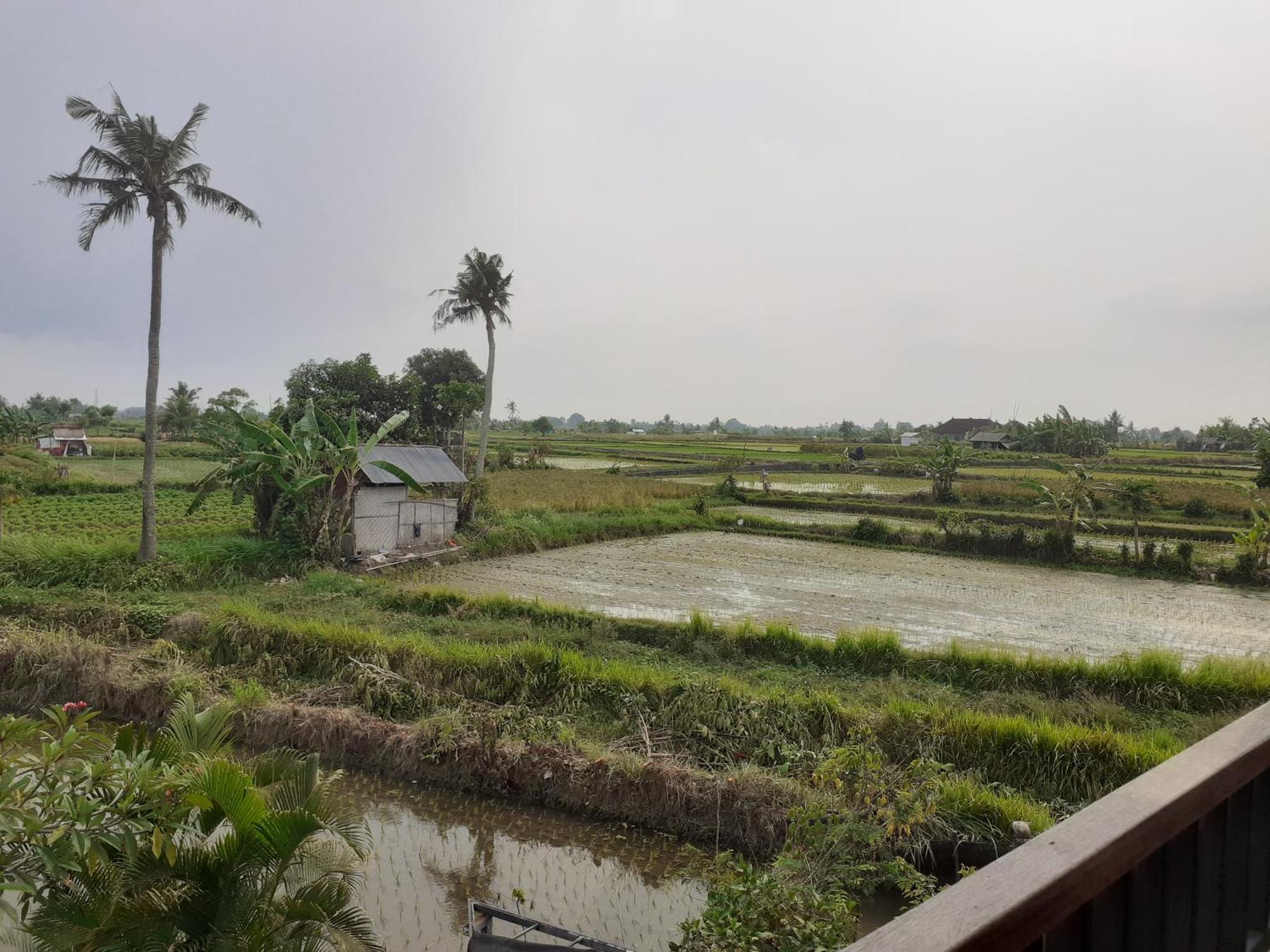 Griya Bun Sari Apartment Sukawati  Bagian luar foto