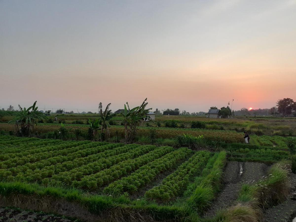 Griya Bun Sari Apartment Sukawati  Bagian luar foto